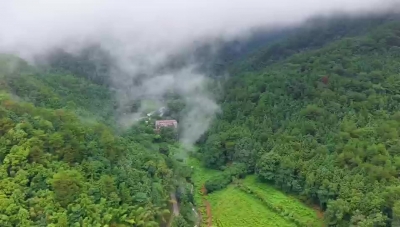 梅州V视丨梅州日报小记者走进蕉岭皇佑笔林场开展自然教育活动——赏“双园”画展  识草木药香