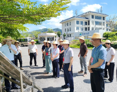 梅江区人大常委会对2025区十件民生实事和“微民生”实事推进落实情况开展视察监督