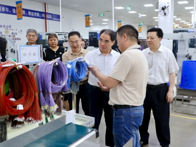 叶贞琴来梅调研并参加代表主题活动：优化营商环境 激发发展活力