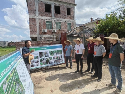 兴宁新陂镇人大组织开展“察民情惠民生助力百千万•人大代表在行动”主题活动