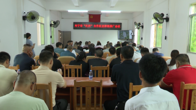 助力村集体增收！兴宁市供销“社村”合作豇豆种植推广会议召开