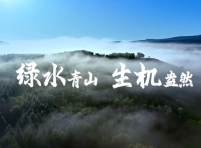 4269平方公里，习近平关切这个绿色“国宝”