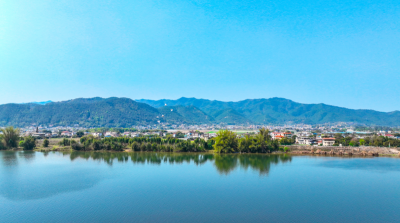 寿乡蕉岭·桂花