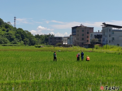 科技赋能农业 电商助力振兴！嘉应学院科技特派员团队开展“科技+电商”双轮驱动的多维助农行动 