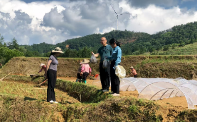 科技赋能稻花香！科技特派员助力平远县泗水镇禾子稻产业振兴