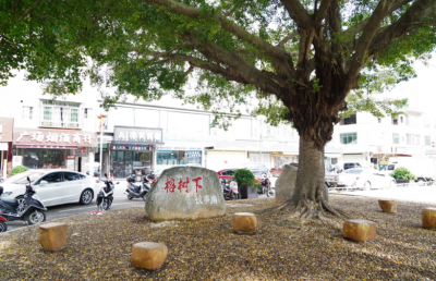 “先饮茶，消消气！” 丰顺县丰良镇在榕树下调解出和谐民风