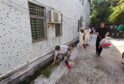 全民动手！大埔枫朗镇开展爱国卫生志愿活动