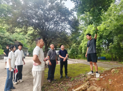 广东生态工程职院“百千万工程”突击队与兴宁油茶企业共研产业提质增效之路