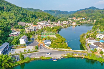 梅州：党建引领乡村绿化蔚然成风