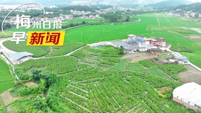 梅州日报早新闻丨双台风共舞！梅州未来天气如何？注意！梅城这条路将启用1套电子监控设备