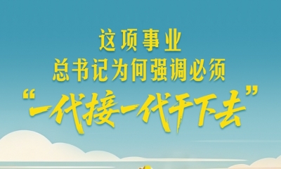 一见·这项事业，总书记为何强调必须“一代接一代干下去”