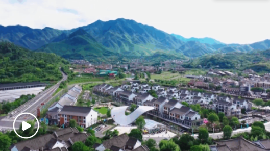 第一视点丨不负青山 金山自来