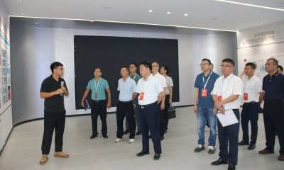 兴宁市政协开展“做大做强‘兴宁鸽’产业链”重点提案专题督办