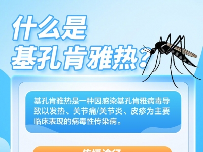 这里有一份基孔肯雅热防护科普指南，请查收