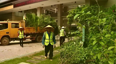 筑牢卫生防线！梅县区开展环境卫生整治专项行动预防基孔肯雅热
