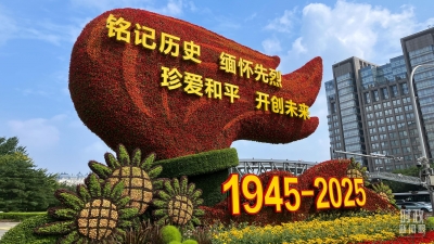 时政新闻眼丨从“上合时间”到“胜利日时间”，元首外交释放哪些重要信息？