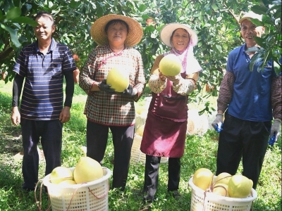 秋分时节好“丰”景