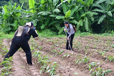 “不是摆拍，是真干！” 平远新农人刘玉环用短视频带山货出山