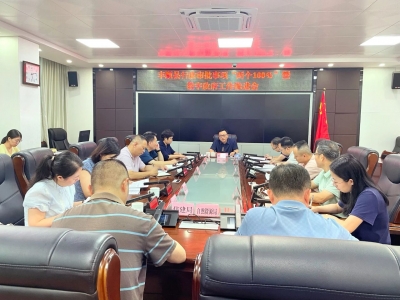 丰顺县行政审批事项“两个100%”暨数字政府工作推进会议召开