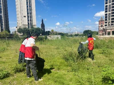 双节将至，梅江区开展爱国卫生运动统一行动