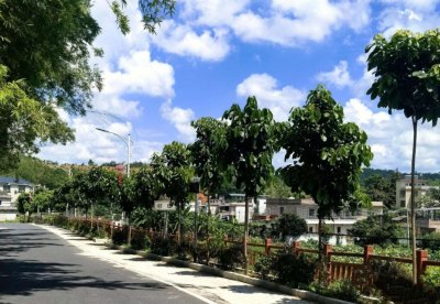 兴宁市新陂镇：积极实施“百千万工程”典型村培育，推动先声村从“后进”到“后劲”蝶变