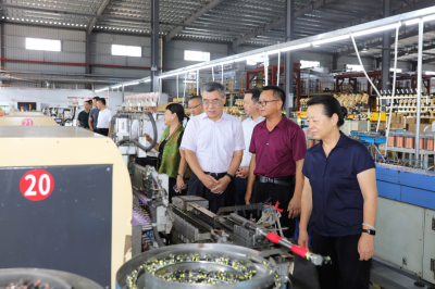 省人大常委会调研组来梅开展定点联系和信访包案化解工作：扎实推动各项工作提质增效