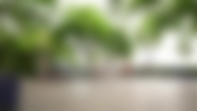 《构建多元养老 优享幸福生活》个人养老金宣传视频