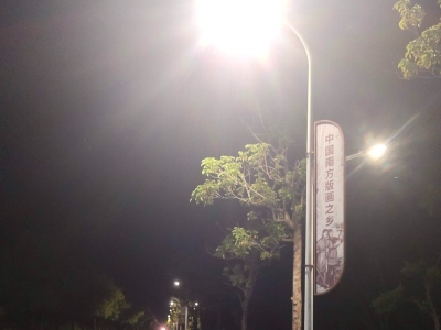 亮了！全亮了！兴宁新陂镇“周二上门去”解民忧，照亮门前“幸福路”~