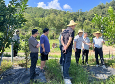 省农科院资环所赴梅州开展科技对接，精准赋能“百千万工程”与农业发展