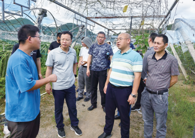 广州市荔湾区派驻梅县区驻镇帮镇扶村工作队：党建引领聚合力 乡村振兴开新局