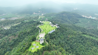 蕉岭：产业村长展身手 乡村振兴添动能