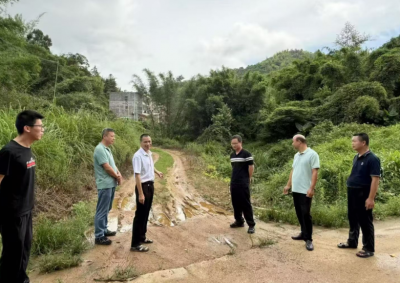 丰顺县黄金镇人大：履职为民办实事 代表助力通民心