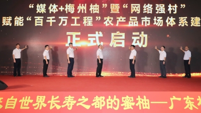 梅州V视丨“柚”惑难挡！2025年梅州柚（大埔蜜柚）正式开采上市 