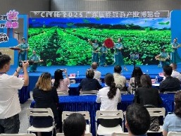 梅州丰顺文旅推介会亮相2025广东国际旅游产业博览会