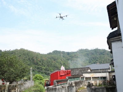 省时省力把柚收！看，大埔蜜柚“坐”上了无人机→