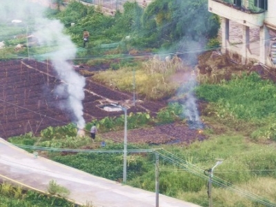 小区经常浓烟弥漫，竟是有人在...住户：难顶，可否管管？