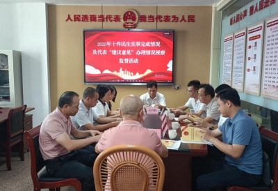 梅江区长沙镇代表团开展“察民情惠民生助力百千万・人大代表在行动”主题活动