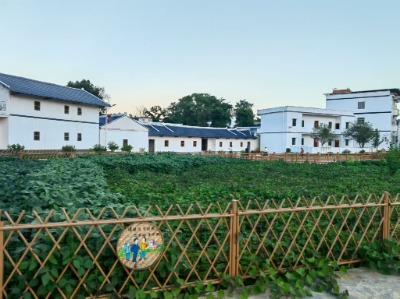 接地气！菜园里的 “法治风景”，让普法走进日常生活