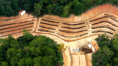 撂荒地变身“增收园”！大埔茶阳镇长兴村立体种养结出“致富果”