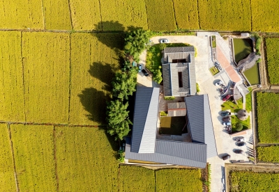 寿乡蕉岭·桂花