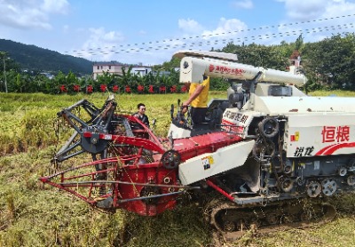 稻花香里话振兴！广州天河区机关事务局结对帮扶兴宁黄槐镇双下村