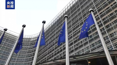 欧盟呼吁各方在加沙停火并承诺实现“两国方案”