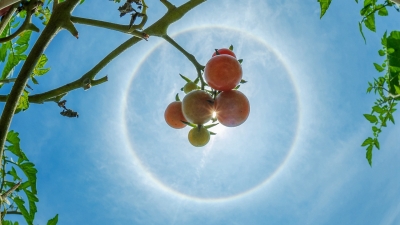 划重点：宜出游！梅州国庆中秋假期天气出炉→