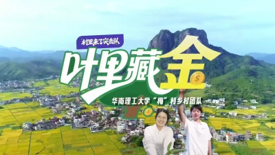 村里来了“突击队”丨“叶里藏金”，他们怎么做到的？