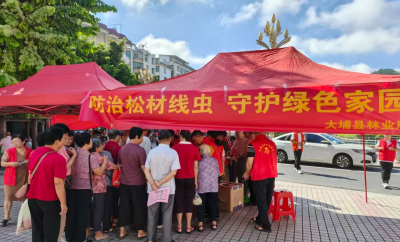 大埔开展古树名木保护宣传活动