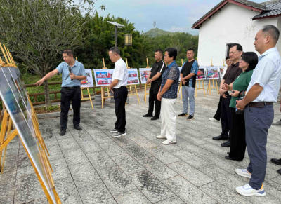 市政协组织开展专题视察活动：以乡村文化赋能“百千万工程”