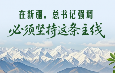 一见·在新疆，总书记强调必须坚持这条主线