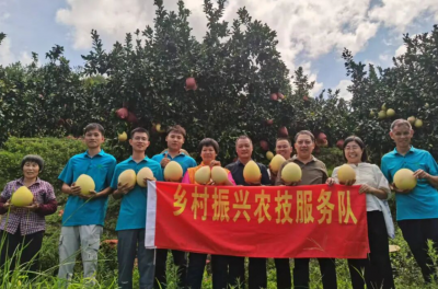 科技把脉！嗯，今年桃尧的蜜柚不错！