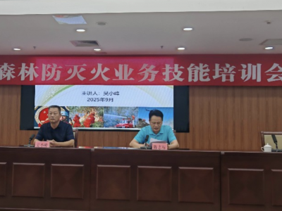 兴宁市举办2025年度森林防灭火业务技能培训会