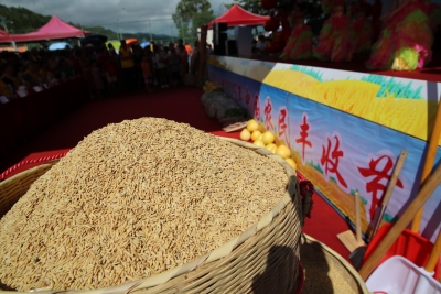 潭下菩米为健康加油、为产业喝彩！2025年五华县丰收节潭下分会场活动圆满举办